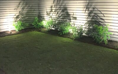 Lighting, Irrigation & Instant Lawn