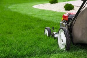 Prepare your Lawn for the Winter Months - Completed