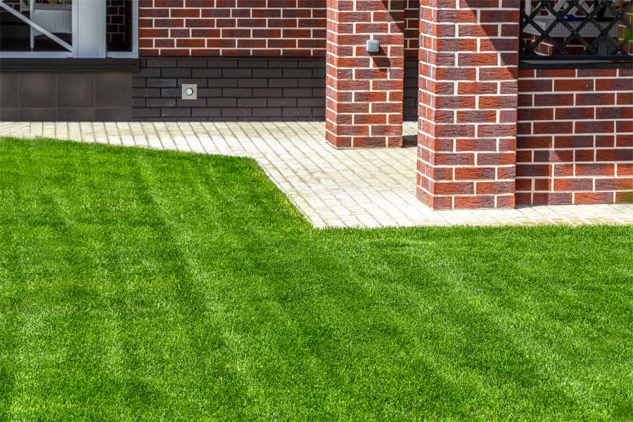 Preparing your Lawn for the Growing Season