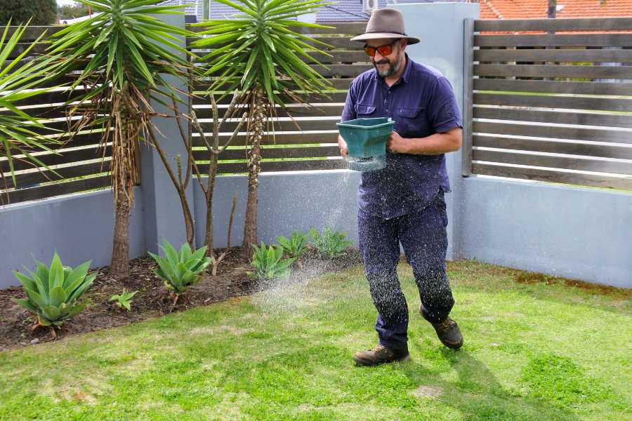 Preparing Your Lawn for Winter