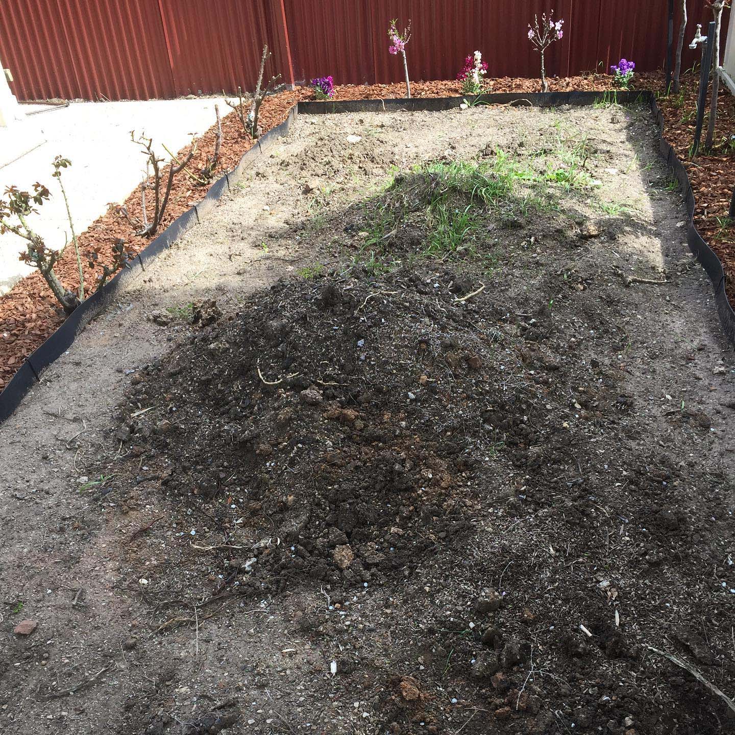 Unley – Front lawn upgrade - Before
