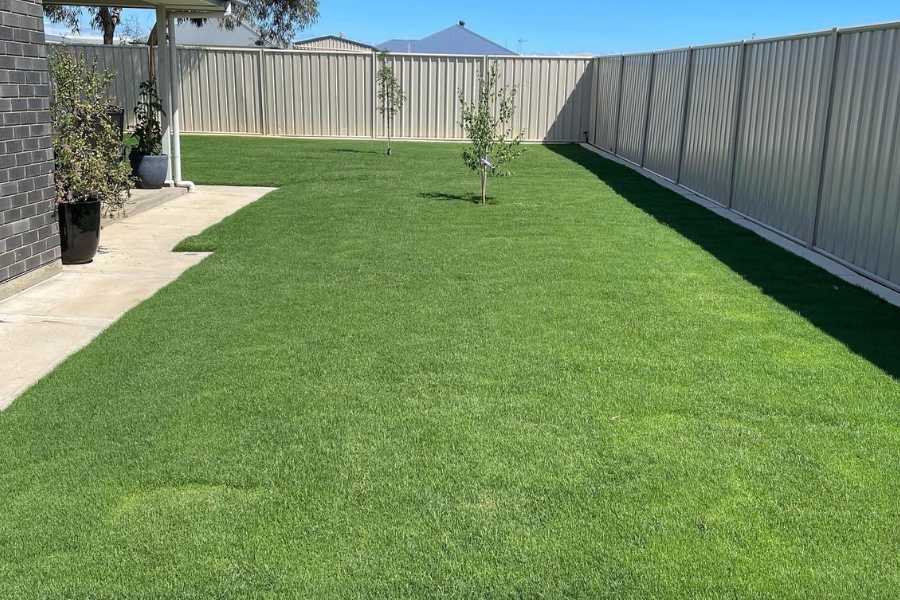 A Fresh Start for your Lawn this Spring