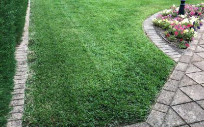 Lawn Replacement – Malvern