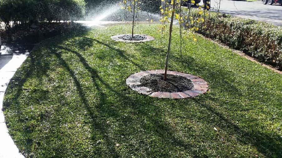 Automatic Irrigation Adelaide