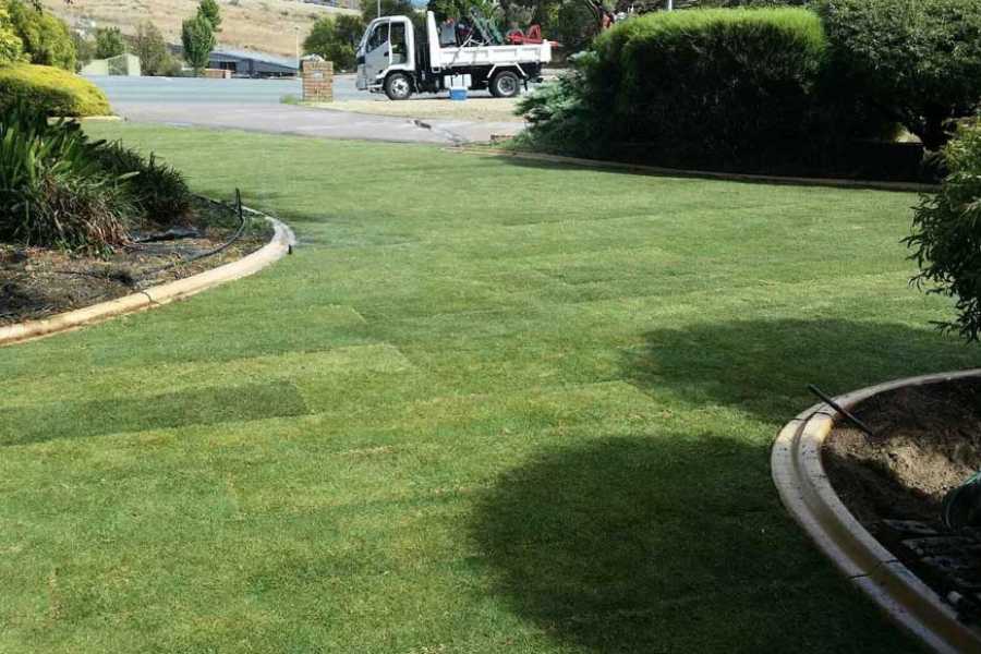 Preparing Your Lawn in August for the Growing Season